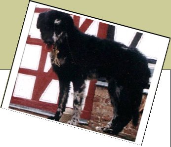 Bild : Luc